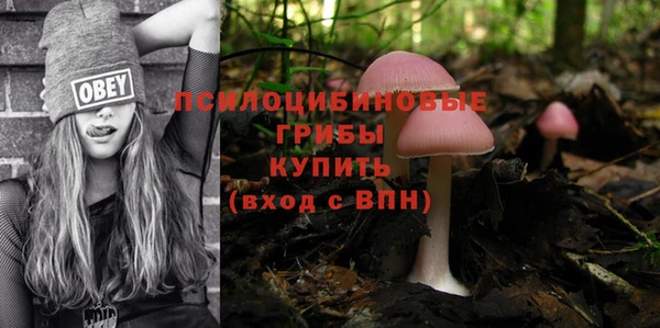 стафф Балахна
