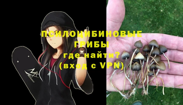стафф Балахна